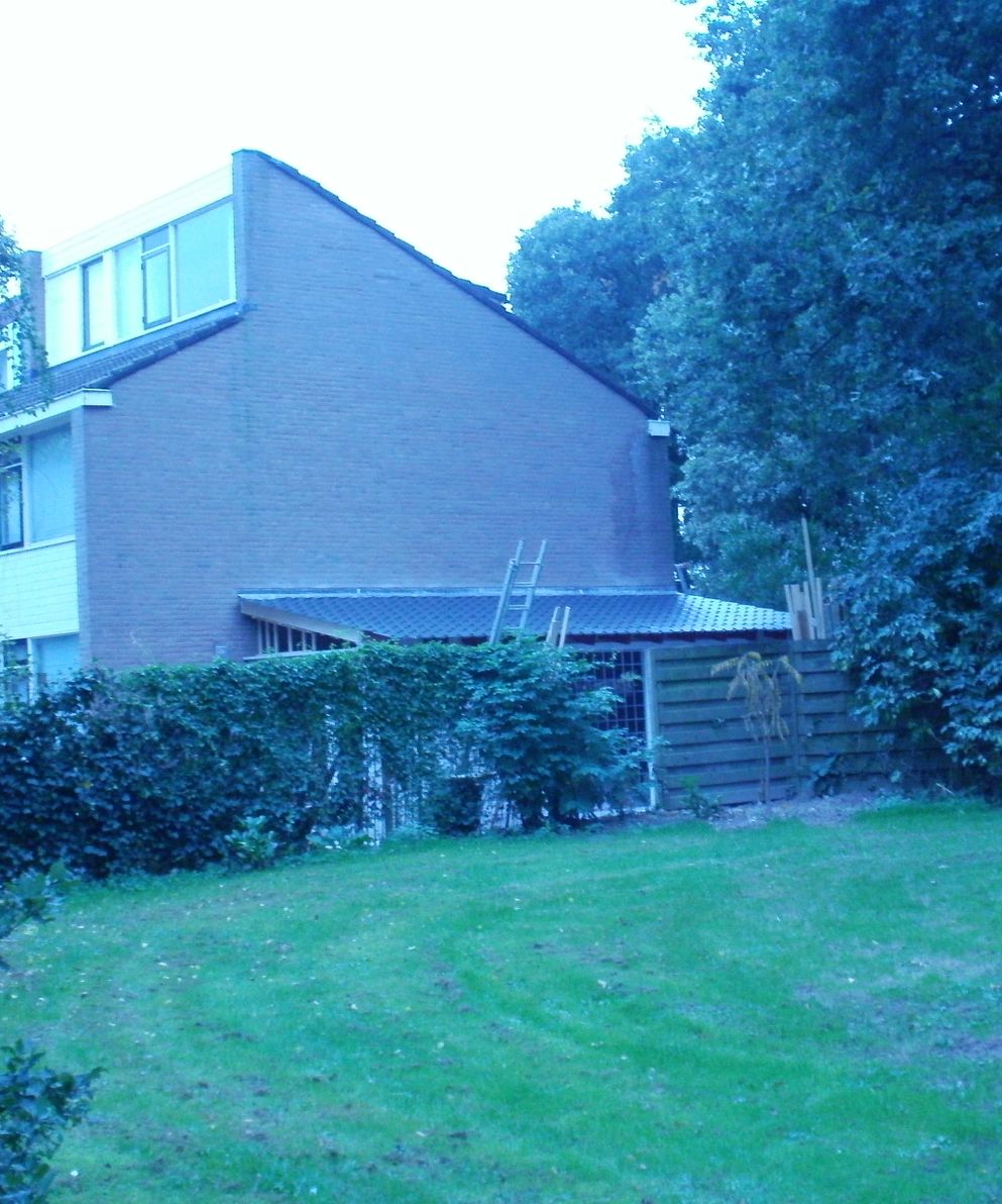 p6-0